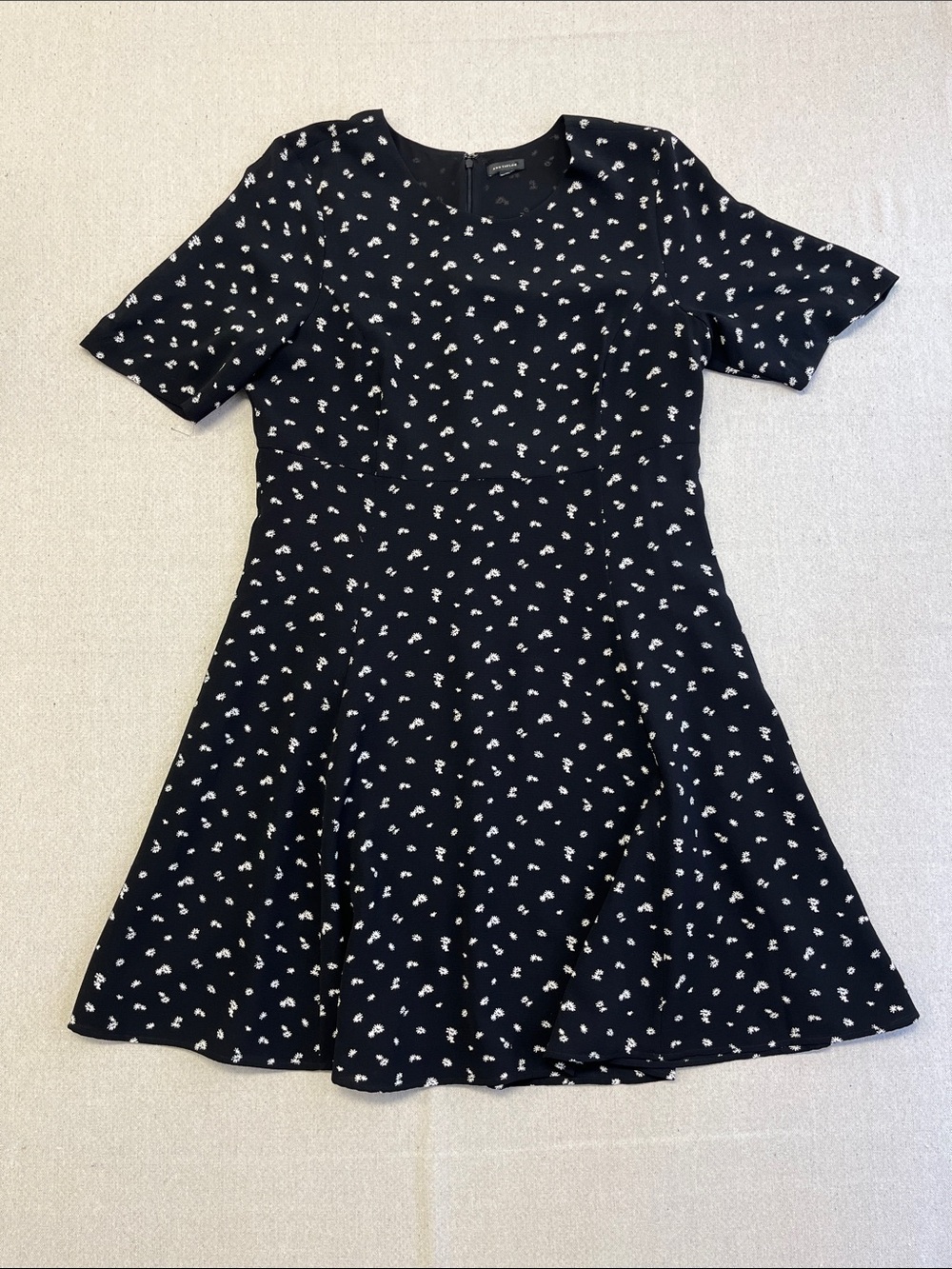 Ann Taylor Black Floral Fit & Flare Dress Short Sleeve